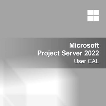 Microsoft Project Server 2022 Licență Utilizator CAL